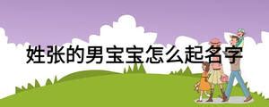 姓张男孩三个字名字大全 张姓3个字男宝宝起名90个 - 快思网