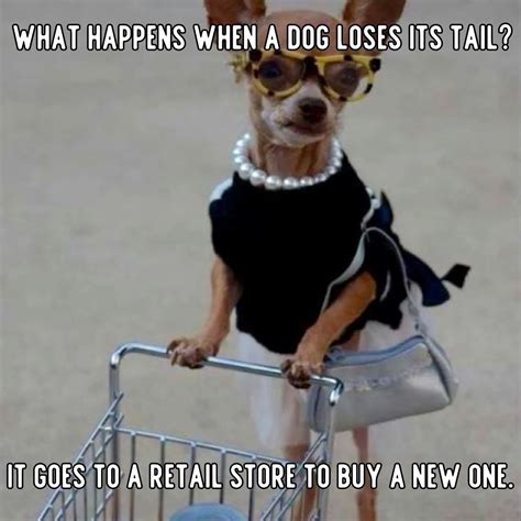 25 Funny Dog Jokes That Will Make You Laugh Heartily