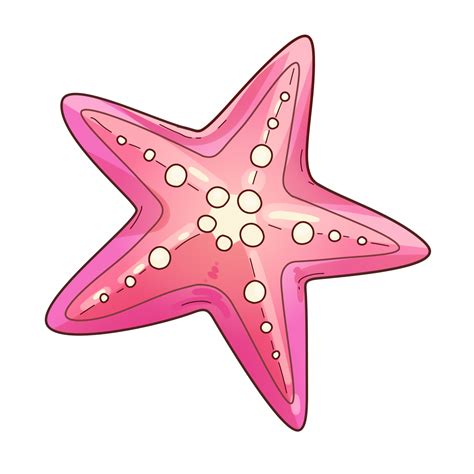 Starfish Summer Cartoon Clipart 24996826 PNG