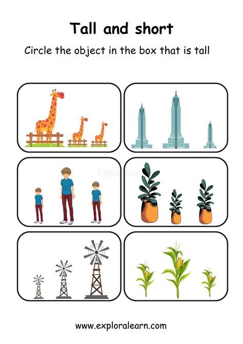 Engaging Comparison Worksheets for Preschool & Kindergarten - Above and Below, Big and Small ...