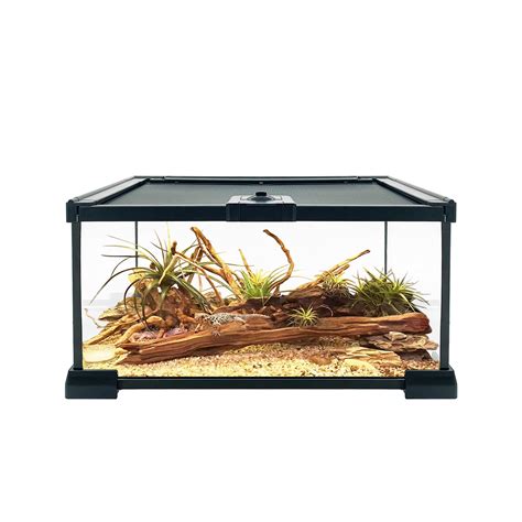 Buy Reptile Growth Reptile Terrarium, 12" x 8"x 6" Reptile Tank with ...