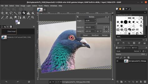 Image result for GIMP Tutorial