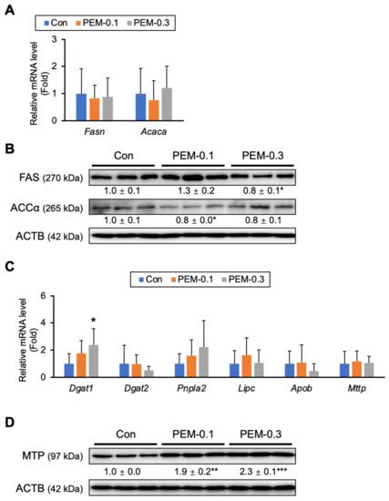 Biomedicines | Special Issue : Liver Fibrosis: Molecular Mechanisms ...