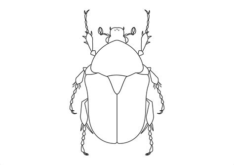 Beetle Clipart Black And White