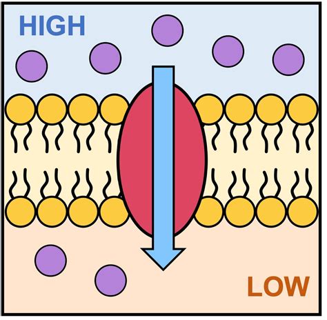 Facilitated Transport Facilitated Transport An Overview