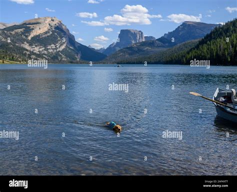 Green rivers lakes hi-res stock photography and images - Alamy
