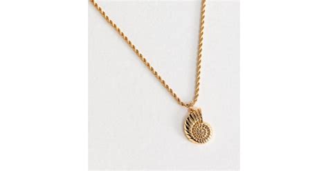 Gold Tone Shell Charm Rope Chain Necklace | New Look