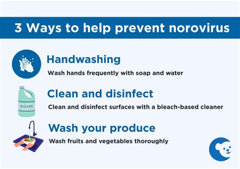 Norovirus: What parents should know - CHOC - Children's Health Hub