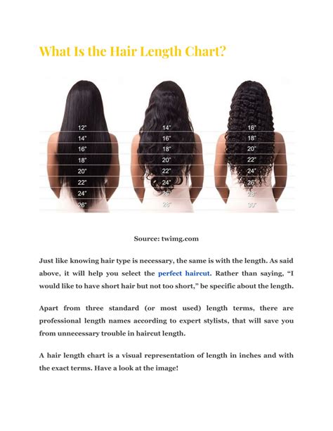 PPT - What Is Hair Length Chart and How to Measure PowerPoint ...