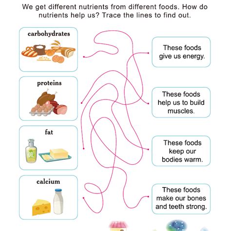 Image result for Science Lessons K 2