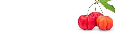 Buy Amla Supplements for Bone and Joints | Wellbeing Nutrition