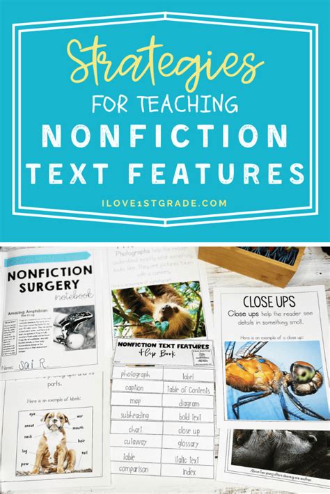 Teaching Text Features 的图像结果