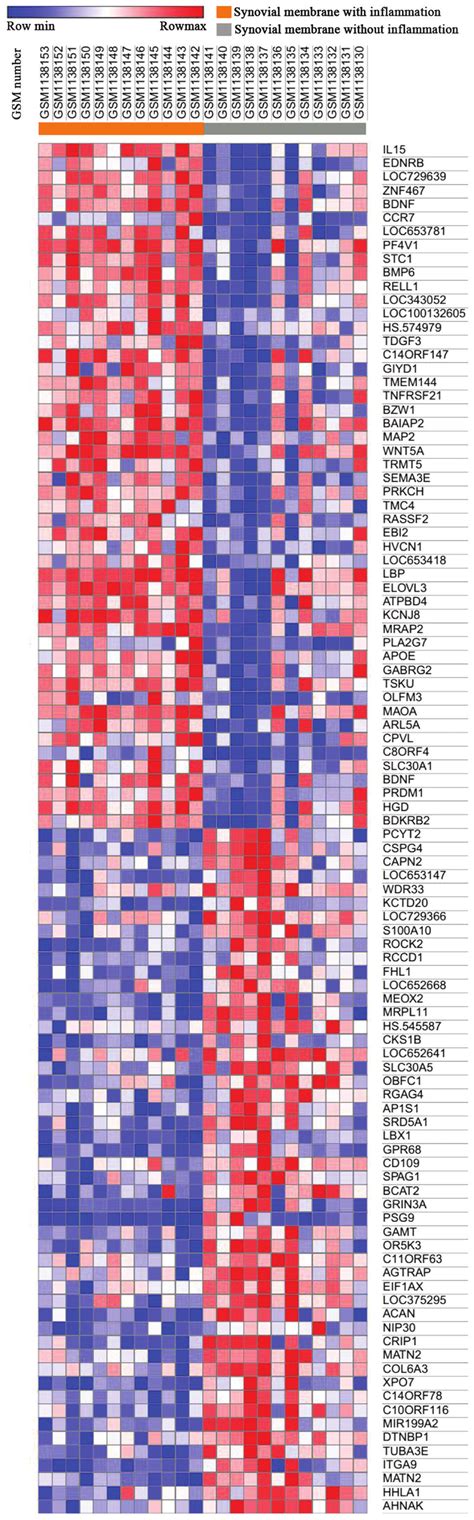 Image result for Heat Map Genetics
