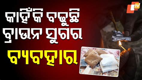 Narcotics Usage: ସତ କହିଦେଲେ ଅଧିକାରୀ, ବଢ଼ିଛି ଗଞ୍ଜେଇ ଓ ଚରସ୍ ବ୍ୟବହାର