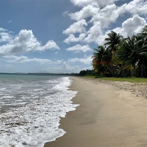 TROPICAL BEACH - All You Need to Know BEFORE You Go 2026 (with Photos ...