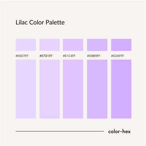 25 best mauve color palettes with names and hex codes – Artofit