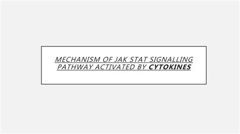 Jak stat pathway | PPTX