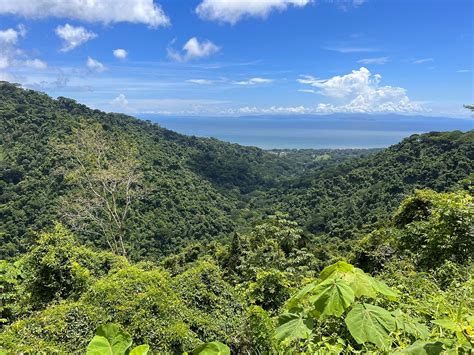 CARARA NATIONAL PARK (2026) All You Need to Know BEFORE You Go (with ...