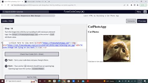 Image result for Freecodecamp HTML Lesson 4