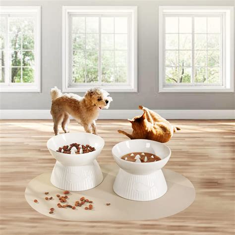 Buy Kopmath Raised Cat Slow Feeder, Ceramic Slow Feeder Cat Bowl ...