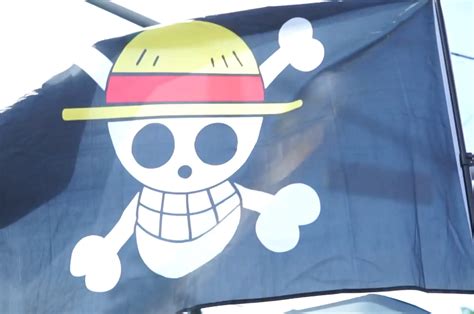 Why the ‘One Piece’ Flag is a Global Symbol of Protest
