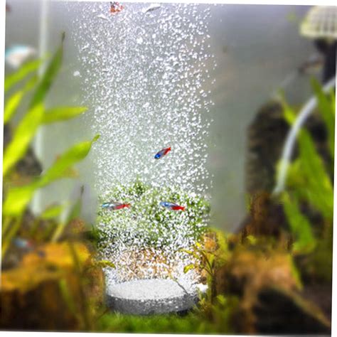 Mipcase 15 Gallon Aquarium Fish Tank Review - Hydroponic Gardening