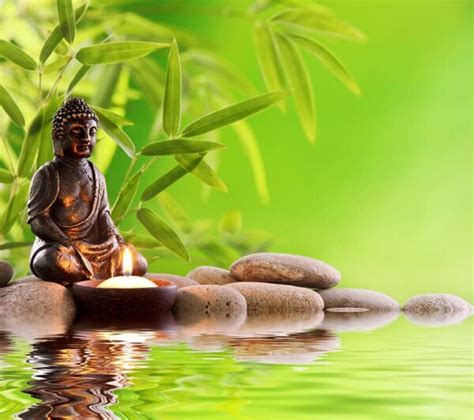 Feng Shui Buddha's Peaceful Aura Mural Wallpaper - Magicdecor®