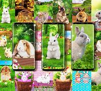 Image result for Bunny Cute Body Icon with Color