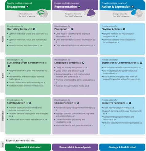 Image result for UDL Principles