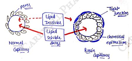 Pharmacology 1 Unit 1 Notes - 4th Semester B Pharmacy | Carewell Pharma