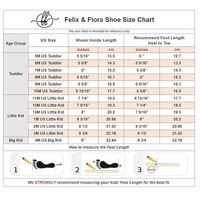 Felix & Flora Toddler Little Girl Mary Jane Dress | Ubuy India