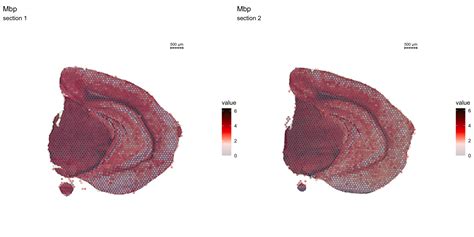 Image result for Spatial Features