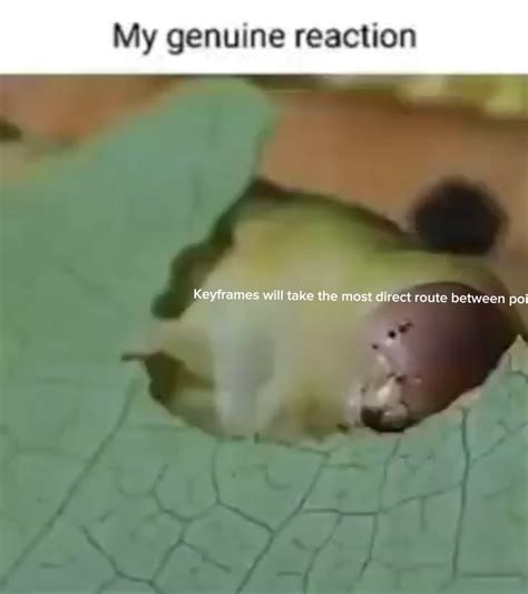 Keyframe Tutorial 的图像结果