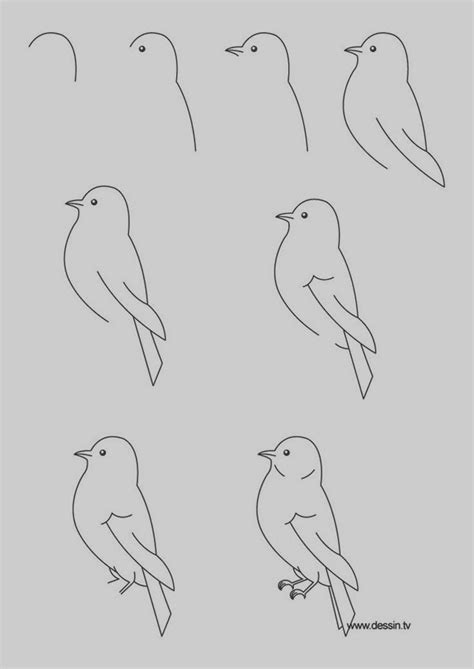 easy art drawings step by step