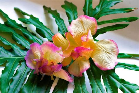 Creating a handpainted silk Iris in Japanese technique, Bag End Studio ...