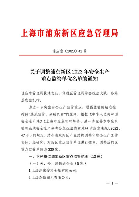 关于调整浦东新区2023年安全生产重点监管单位（区域）名单的通知_安全生产