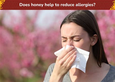 Does honey help to reduce allergies ? – HIVE LOOPS