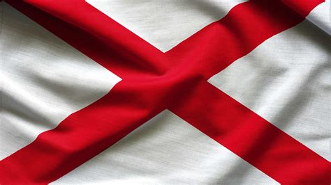 Discover Why Alabama Is Called the "Yellowhammer State" - A-Z Animals