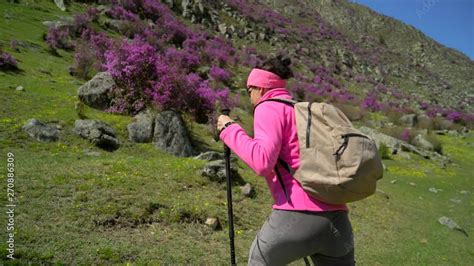 Adventure Travel Girl 的图像结果