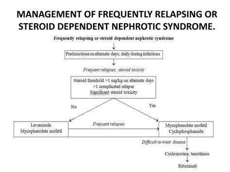 Steroid Sensitive Nephrotic Syndrome | PPTX
