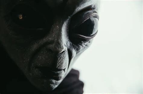 Image result for Alien Visitation