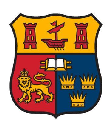 Best Consultants for study in Ireland | Ireland education consultant in ...