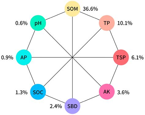 Response of Understory Plant Diversity to Soil Physical and Chemical ...