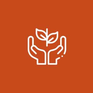 Jiva Brahmi Tablets 500mg | 100% Ayurvedic Formulation Rejuvenates ...