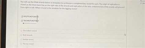 DNA Replication Strand 的图像结果