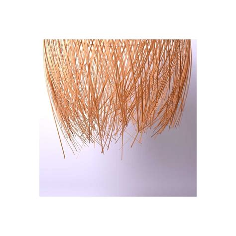 Ratan It Java 的图像结果