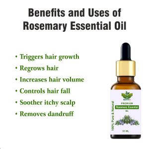 Sunfly 100% Pure & Natural Rosemary Essential Oil-70ML - Price in India ...