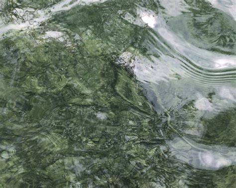 Camp Waldemar | LinkedIn