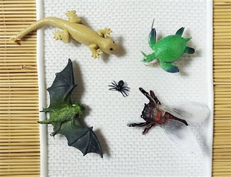 Buy BITONA® Mix Insects Lizard, bat,bee, Spider, Tortoise - Mini ...