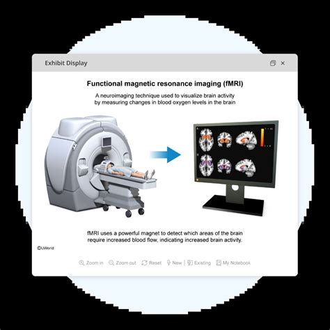 AP® Psychology Practice Tests, Exams & Questions | FRQs & MCQs